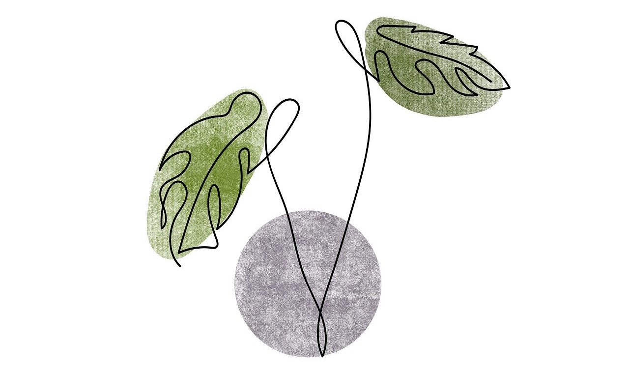 monstera-7289067_1280